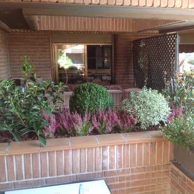 Terraza arbustiva Madrid 2