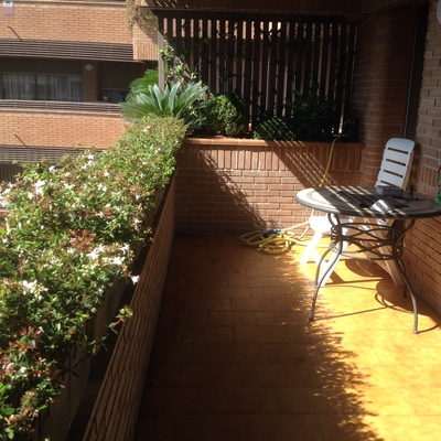 Terraza arbustiva Madrid 3