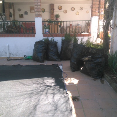 Limpieza de setos