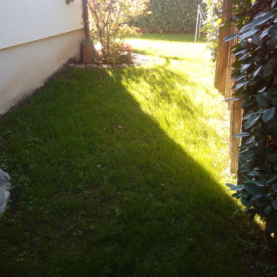 recuperacion cesped 
