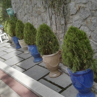formas