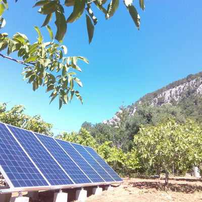 Finca Pollença 2