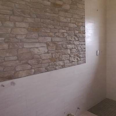 plato de obra y baño rustico