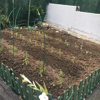 Jardinería