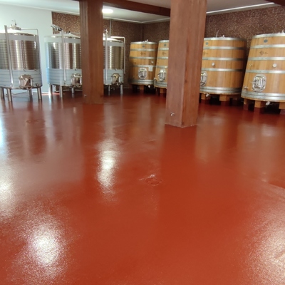 Bodegas