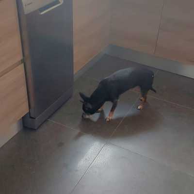 Reforma de cocina