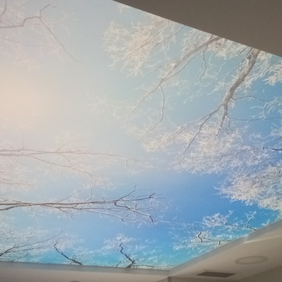 Techo Tensado impreso