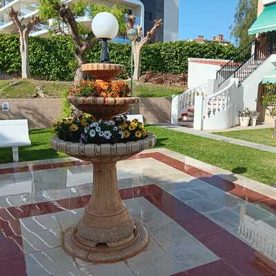 Flores ornamentales