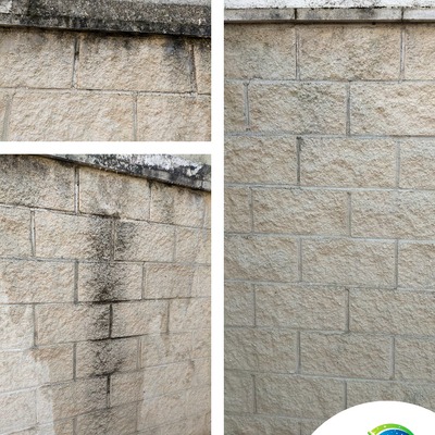 LIMPIEZA DE PARED DE PATIO