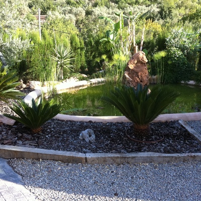 lago jardin
