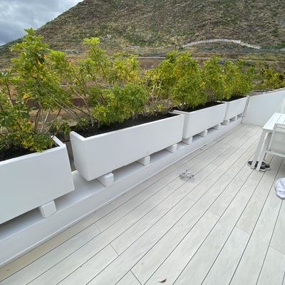 Pintura de jardinera