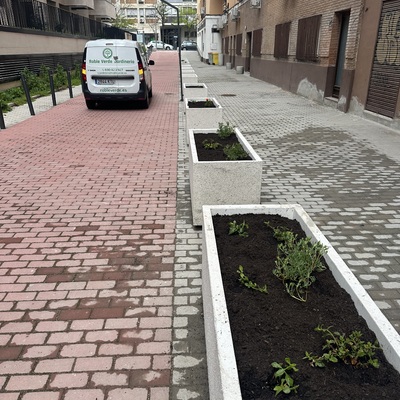 Reforma jardineras