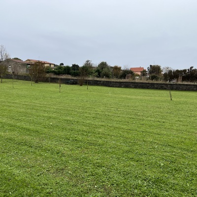 Siega de jardin