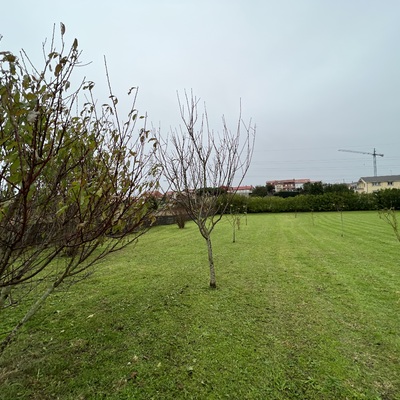 Siega de jardin