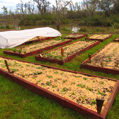 Huerto 100 m2