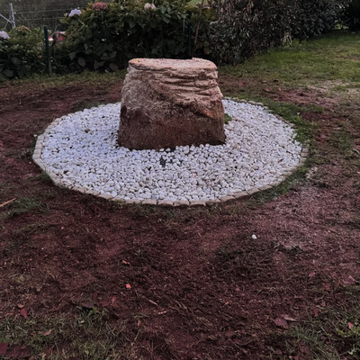 Poda de palmera y decoración con llanta metalica