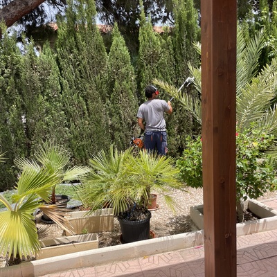 Servicios de jardinería