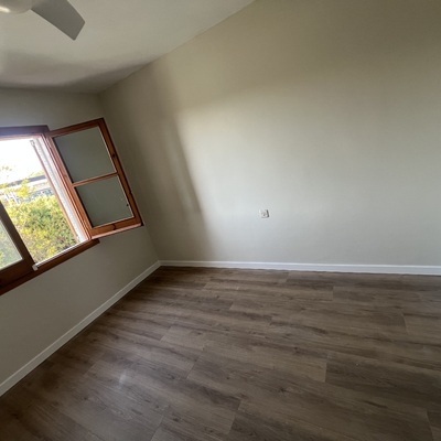 Pintura y parquet