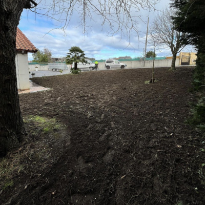 Nueva obra