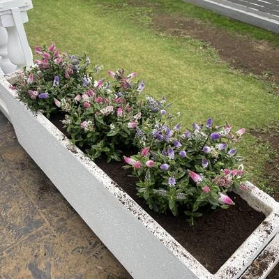 Jardinera de temporada