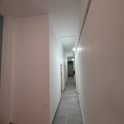 Pladur y pintura
