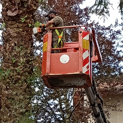 Jardinería