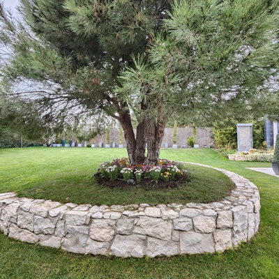 Jardín privado en Boadilla