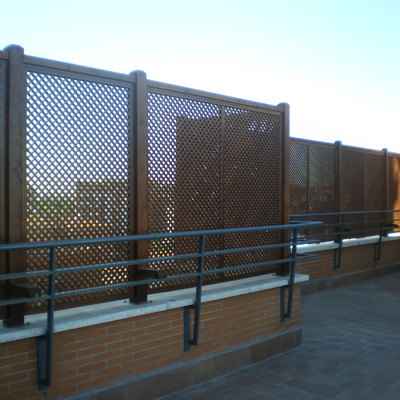 Celosias