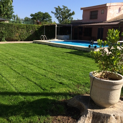 Implantación césped