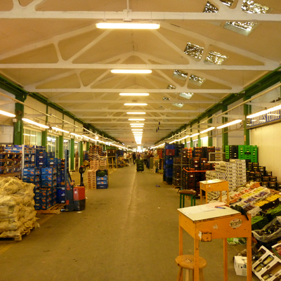 Instalacion de Iluminacion en Industria Sector Alimentario  Merca Vallès