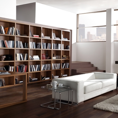 INTERIOR LIBRERIA