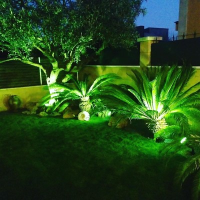 JARDIN