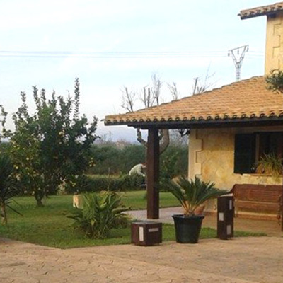 sineu