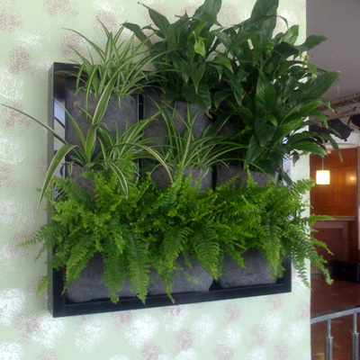 Jardin vertical