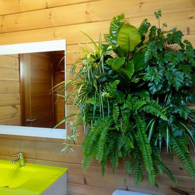 jardin vertical