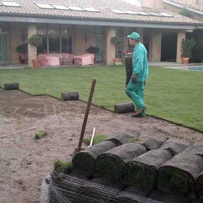 Jardin