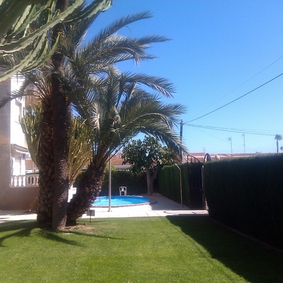 Jardin