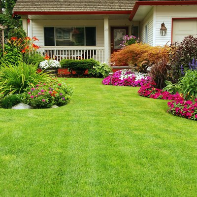 Jardineria construcio i Manteniment