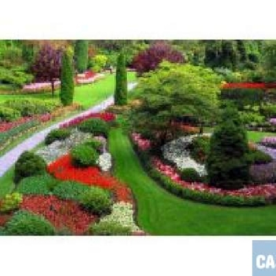 jardineros paisajistas 