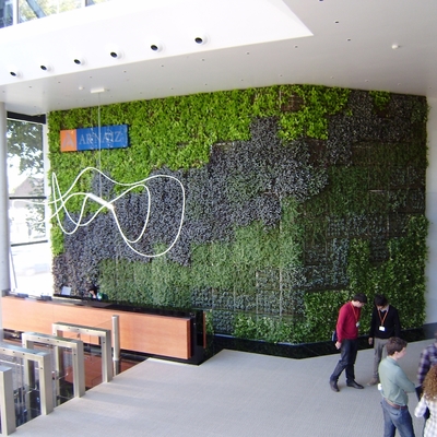 JARDINES VERTICALES