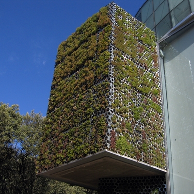 JARDINES VERTICALES