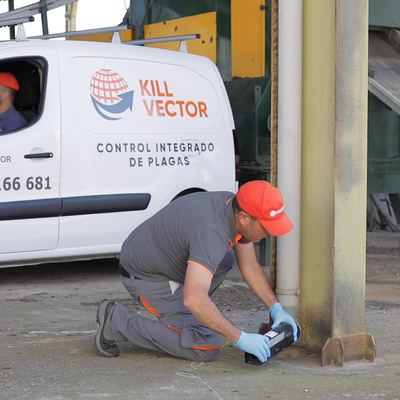 Control de plagas prevención
