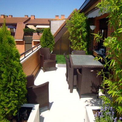 las rosas