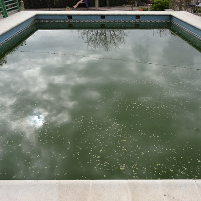 limpieza piscinas