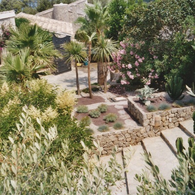 jardin tropical