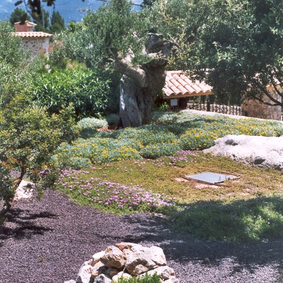 xerojardinería