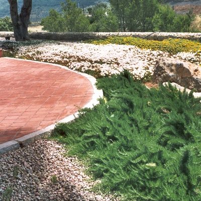xerojardineria
