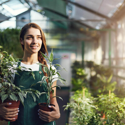 Plantas de Interior