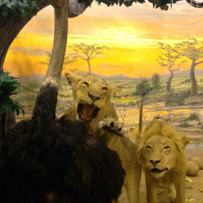 Mural africano