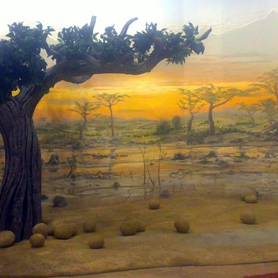 Mural africano